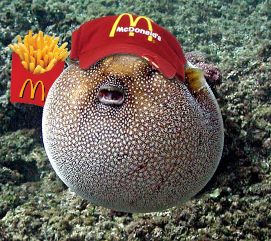 Photoshop Design by vipez for DesignCrowd (Community Contests) | Design #8961529