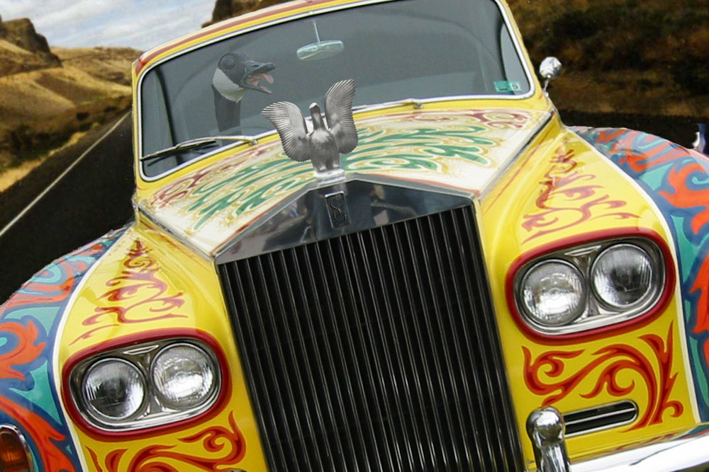 Photoshop Design by tombearr for DesignCrowd (Community Contests) | Design #8962738