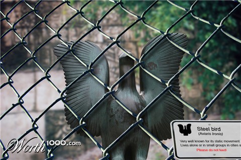 Photoshop Design by schmaurens