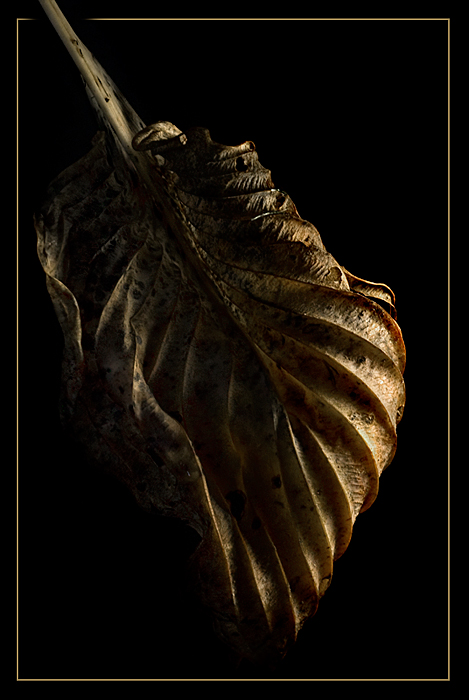 Fotografie von Marian für DesignCrowd (Community Contests) | Design #8962949