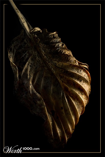 Photography by Marian