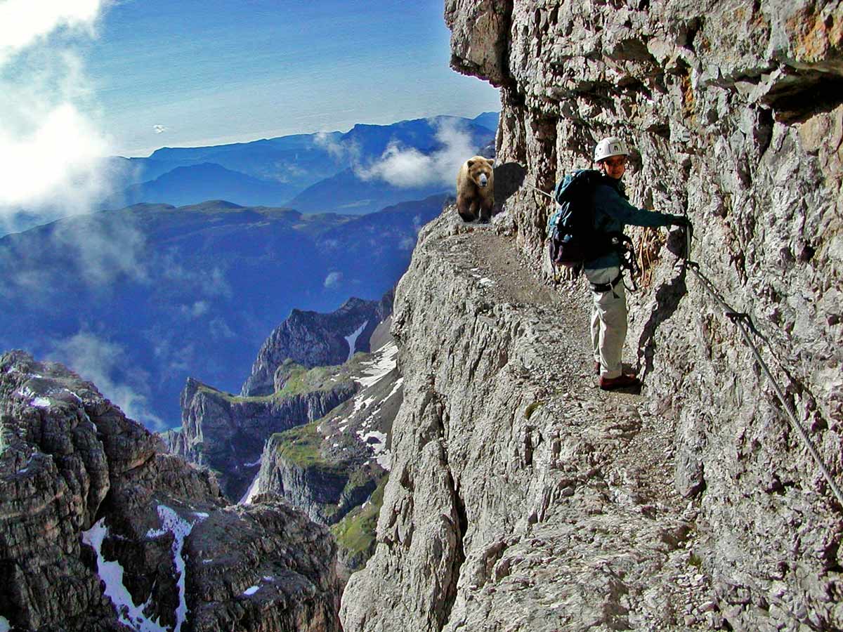 Photoshop Design by underworth for DesignCrowd (Community Contests) | Design #8961883