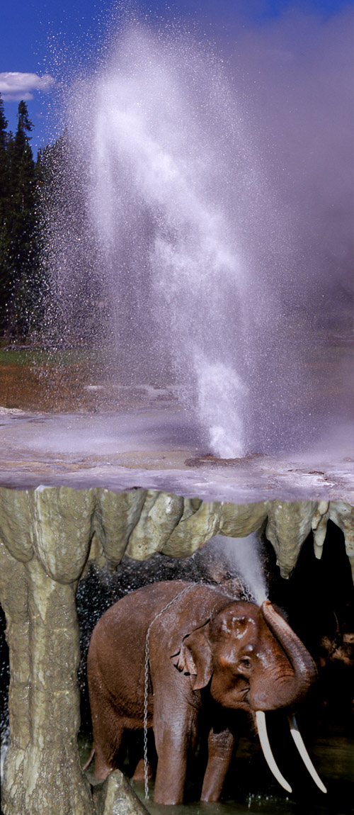 Design Photoshop par just-me-morgana pour DesignCrowd (Community Contests) | Design #8962542