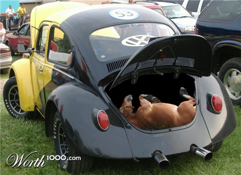 Photoshop Design by leschhorne