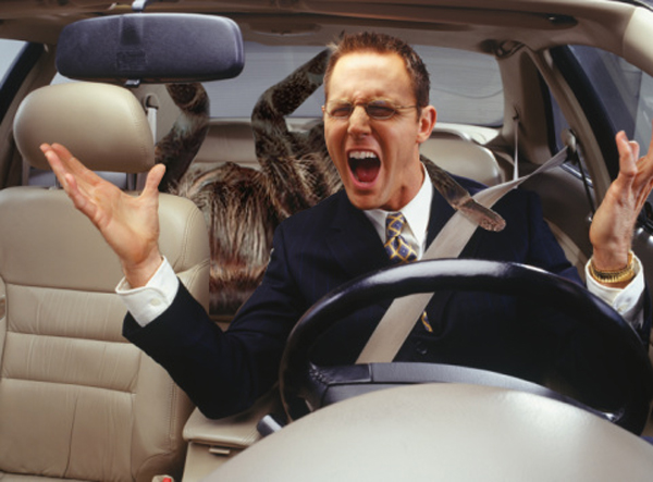 Photoshop-Design von Deborahb für DesignCrowd (Community Contests) | Design #8961915