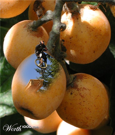 Photoshop Design by broko619