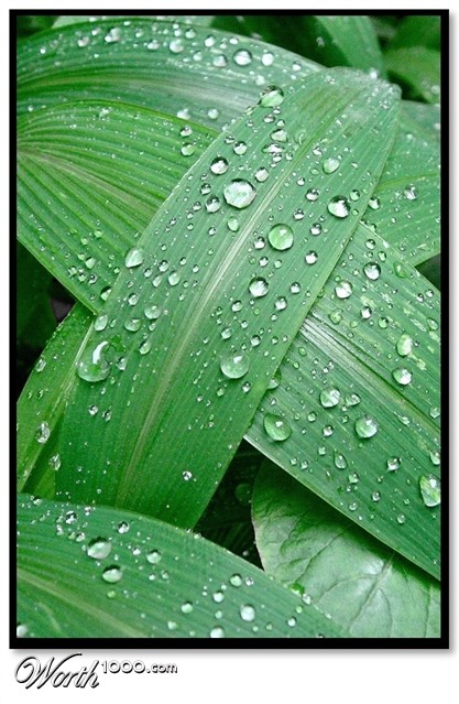 Photography by Maximilian