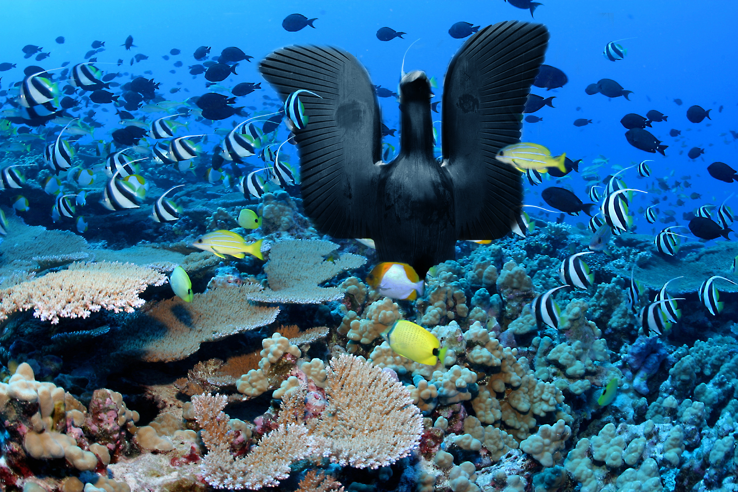 Design Photoshop par broko619 pour DesignCrowd (Community Contests) | Design #8962792