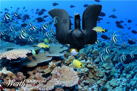 Photoshop Design by broko619