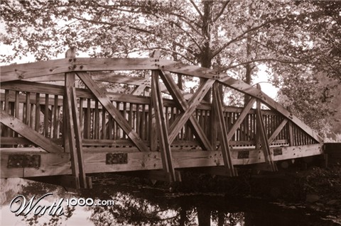 Photography by dhobbs