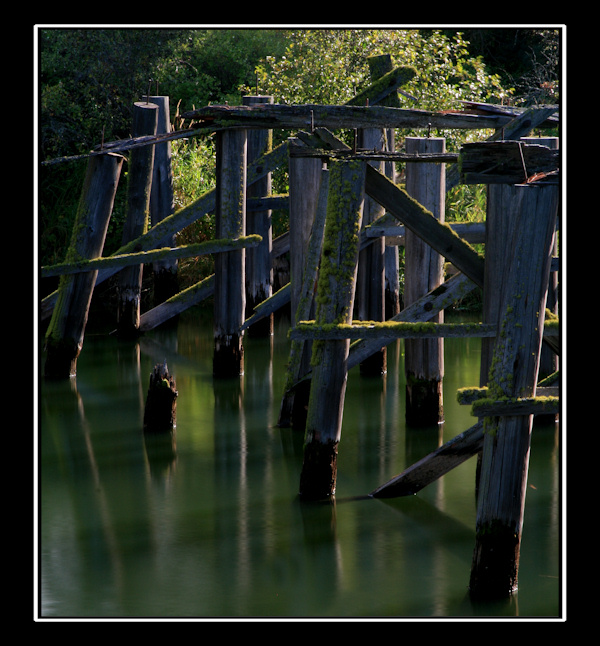 Fotografie von jasduc für DesignCrowd (Community Contests) | Design #8963425