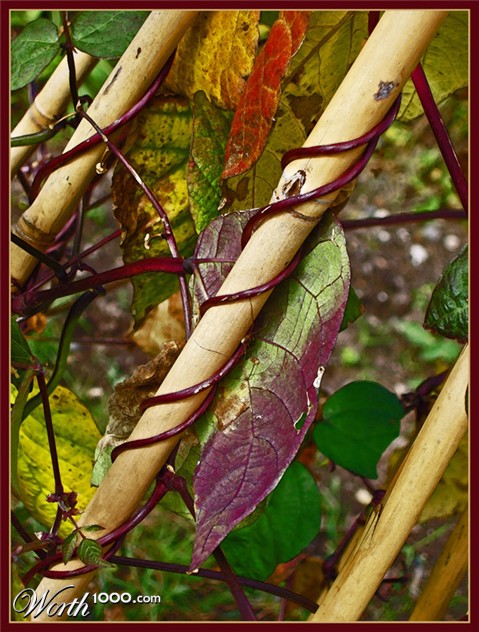 Photography by splong