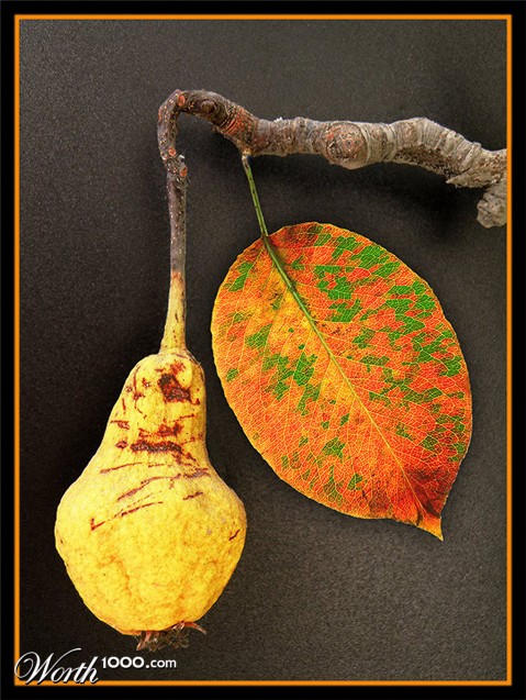 Photography by amirbse