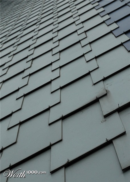 Photography by schmaurens