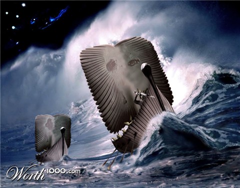 Photoshop Design by nesetyven