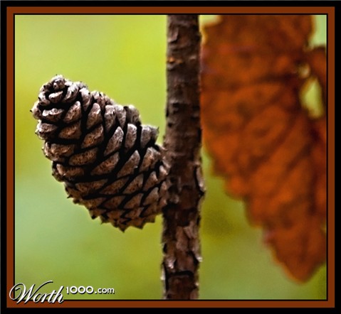 Photography by learn2swim96