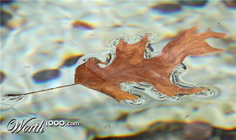 Photography by AmyEllinger