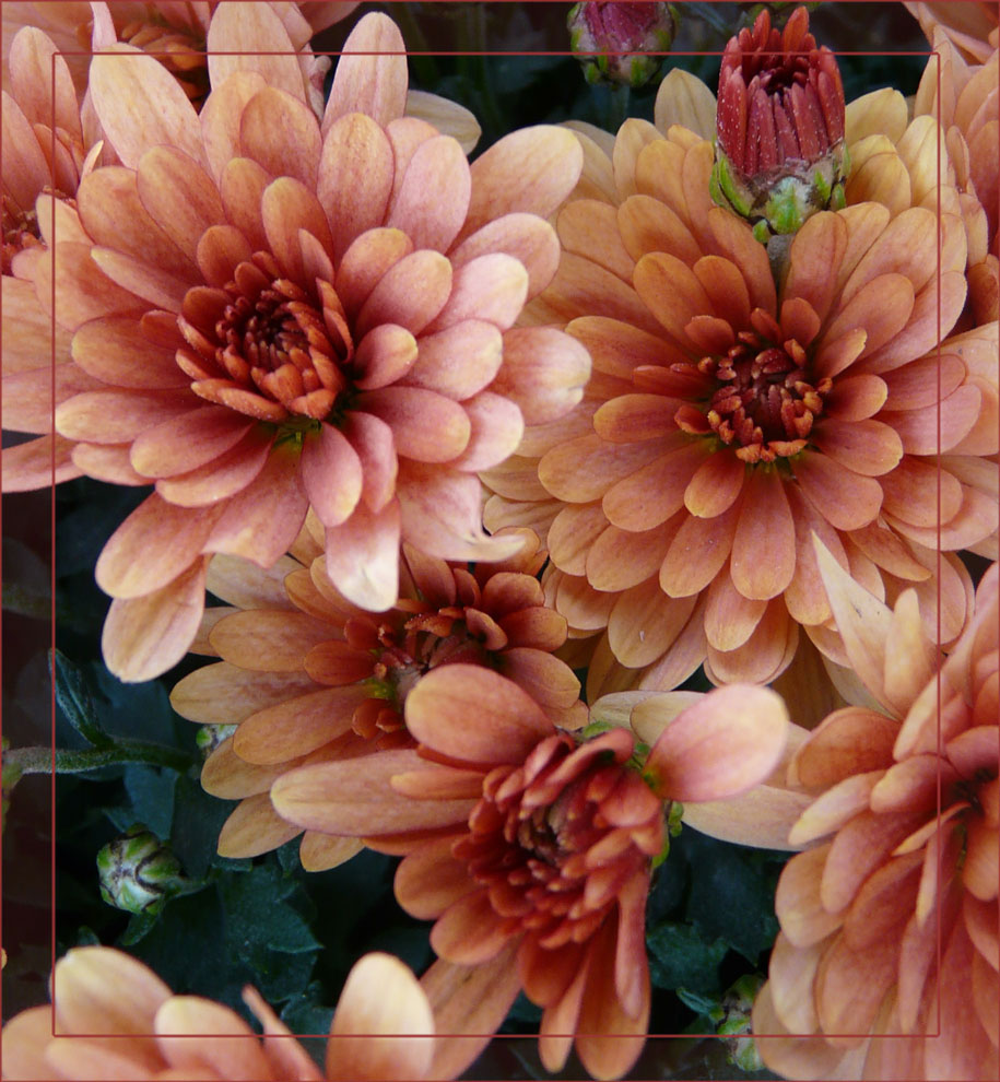 Fotografía por cemaydin para DesignCrowd (Community Contests) | Diseño #8963019