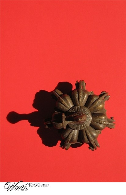 Photography by Maximilian