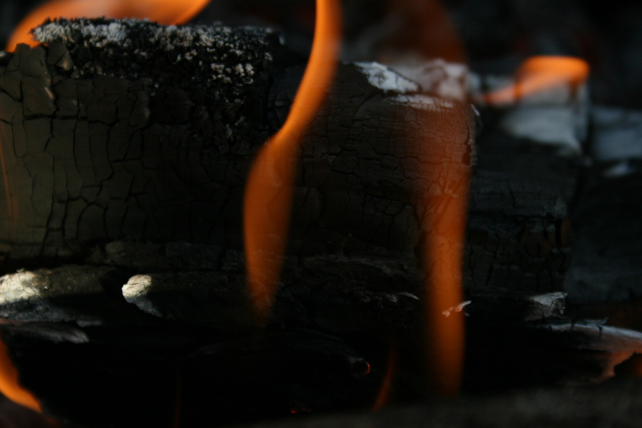 Fotografía por ama168 para DesignCrowd (Community Contests) | Diseño #8954893