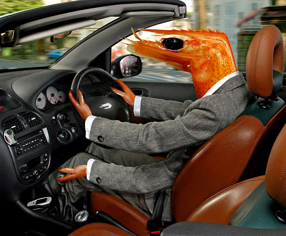 Photoshop Design by ozplasmic for DesignCrowd (Community Contests) | Design #8961581