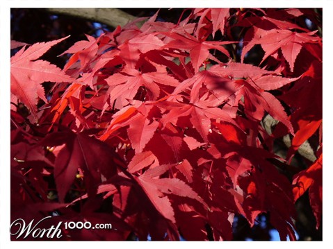 Photography by j9mayer