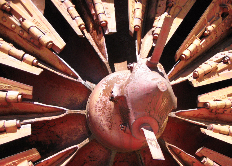 Photography by mangoslushy for DesignCrowd (Community Contests) | Design #8954877