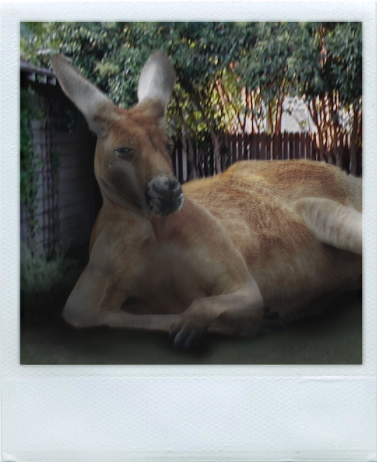 Design Photoshop par lewisj pour DesignCrowd (Community Contests) | Design #8962969