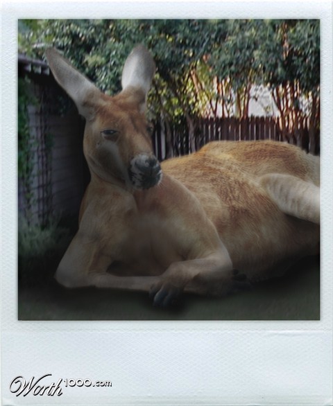 Photoshop Design by lewisj