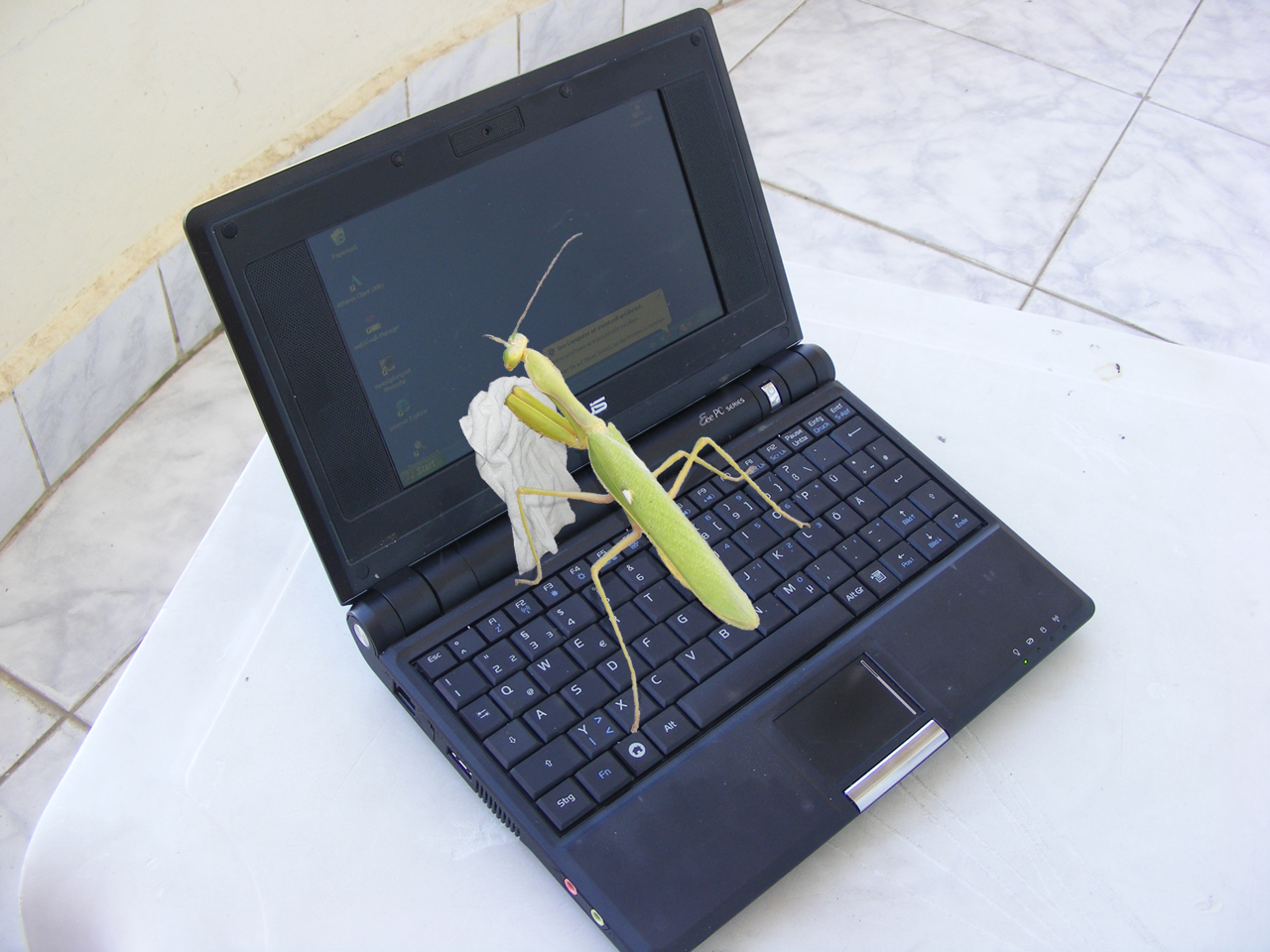 Photoshop Design by bicyclewilli for DesignCrowd (Community Contests) | Design #8961610