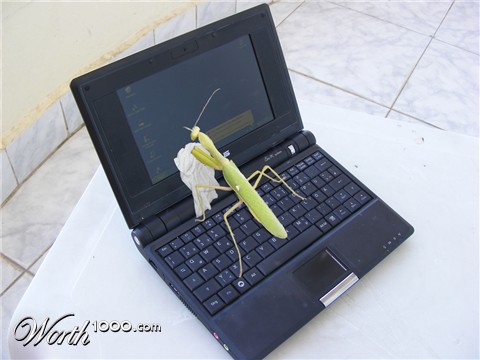 Photoshop Design by bicyclewilli