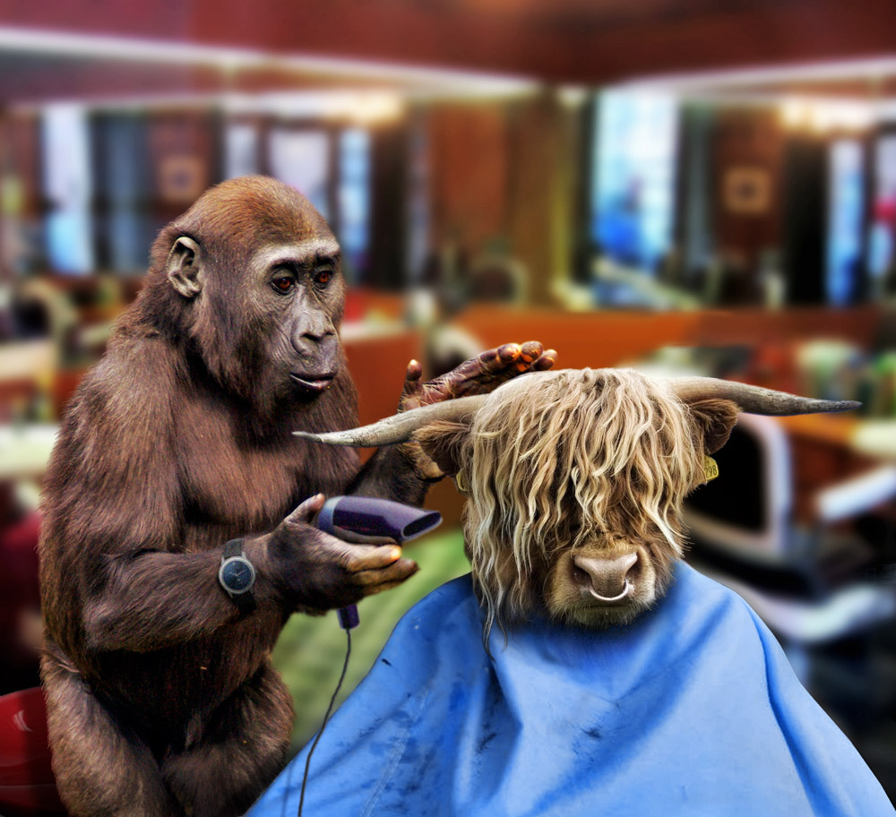 Photoshop Design by mzpresto for DesignCrowd (Community Contests) | Design #8961622