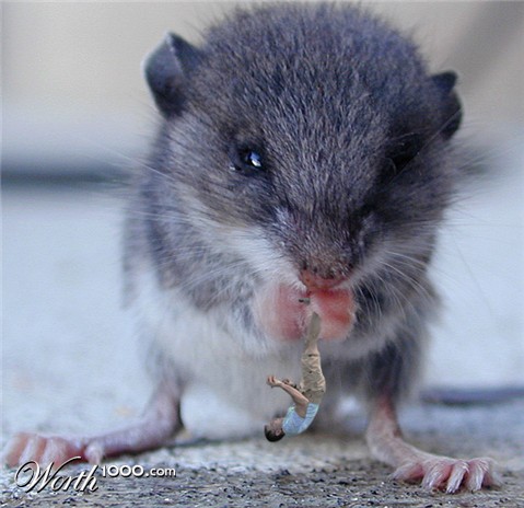 Photoshop Design by marijnpeter