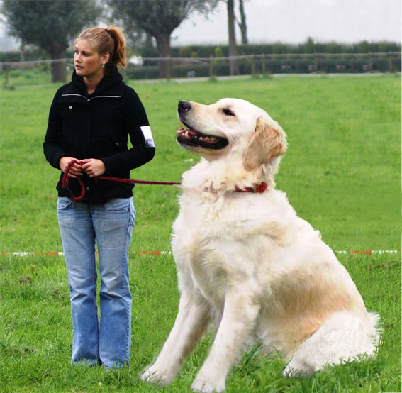 Photoshop-Design von Coschie für DesignCrowd (Community Contests) | Design #8963010