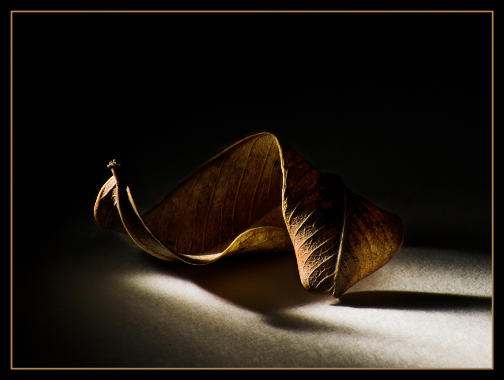 Fotografía por kimbomac para DesignCrowd (Community Contests) | Diseño #8963065