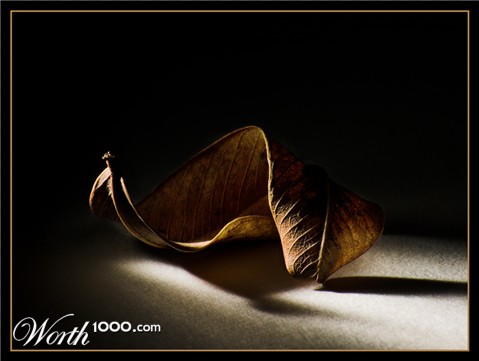 Photography by kimbomac