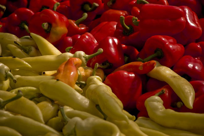 Fotografie von crea08 für DesignCrowd (Community Contests) | Design #8954963