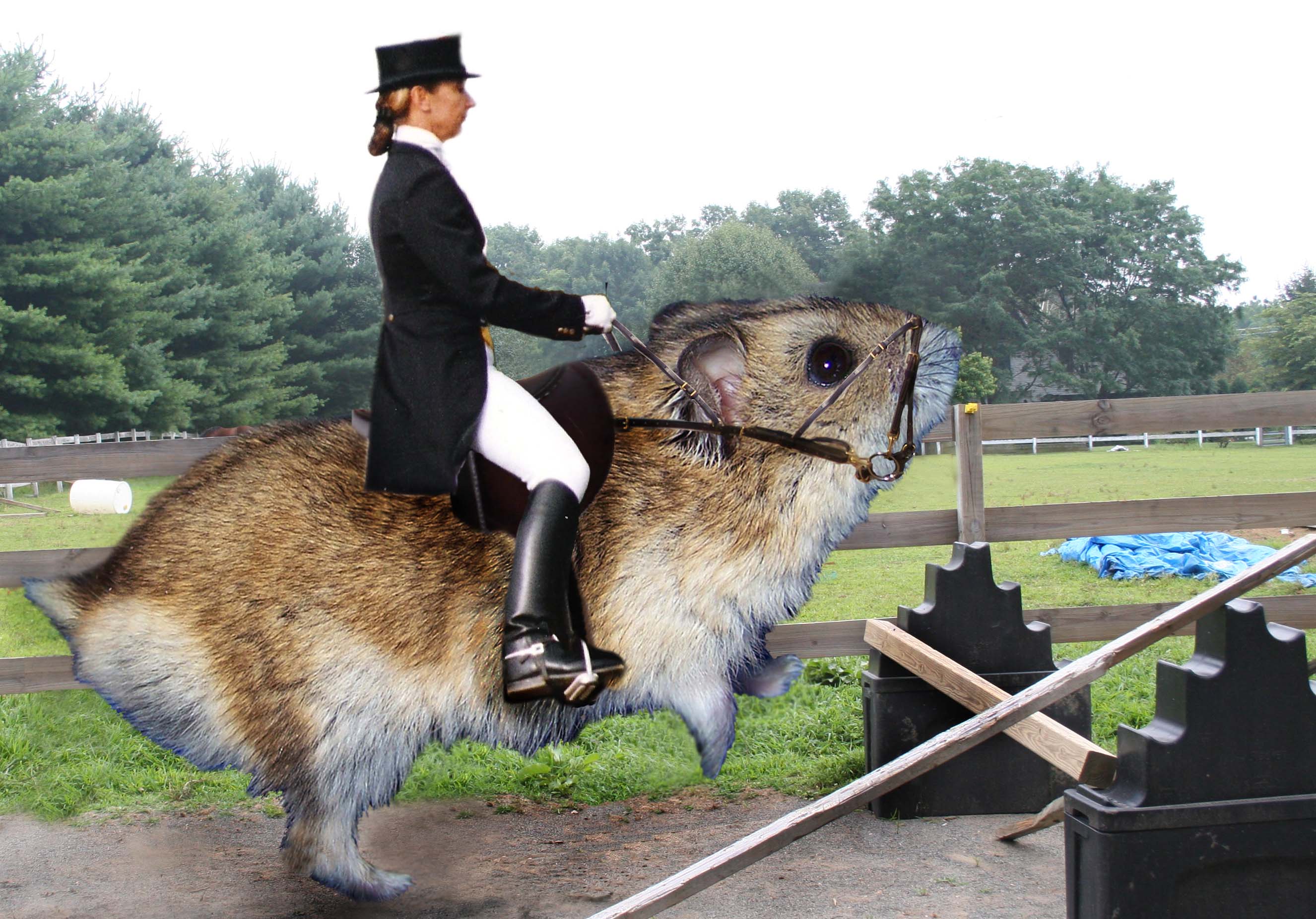 Photoshop Design by MidoriMiki for DesignCrowd (Community Contests) | Design #8963062