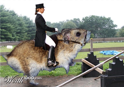 Photoshop Design by MidoriMiki