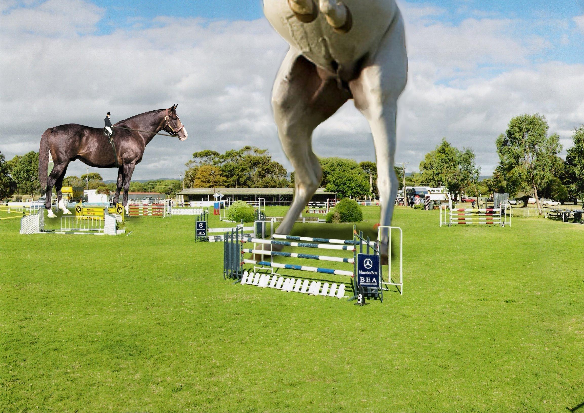 Photoshop Design by Handsomesgirl for DesignCrowd (Community Contests) | Design #8963078