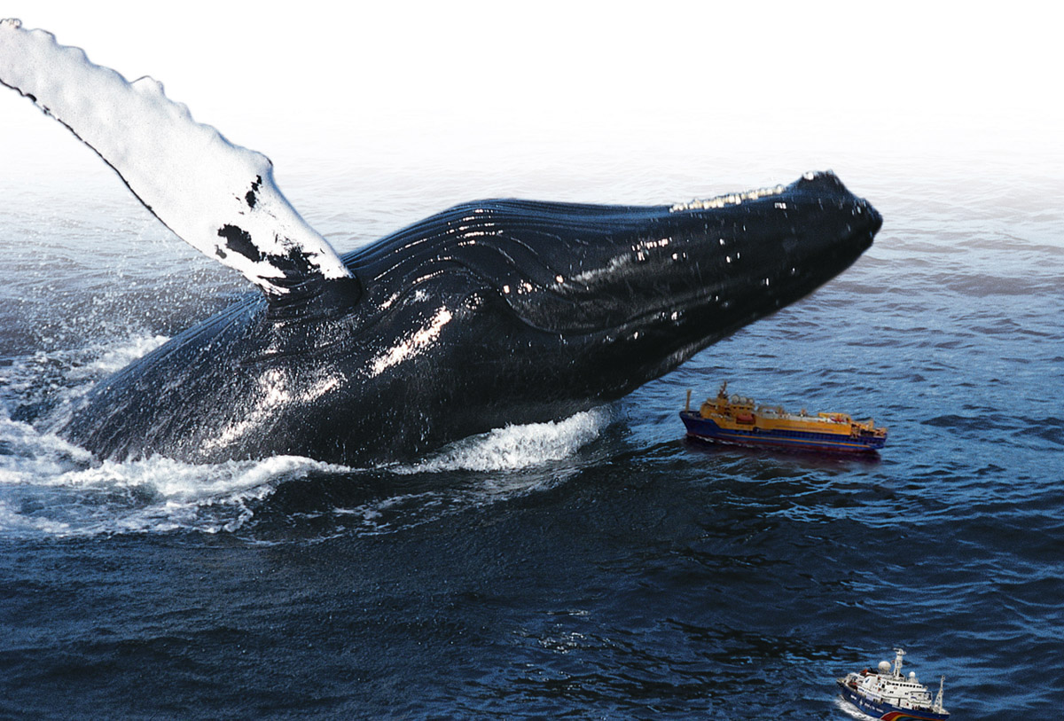 Photoshop Design by mrBonne for DesignCrowd (Community Contests) | Design #8963046