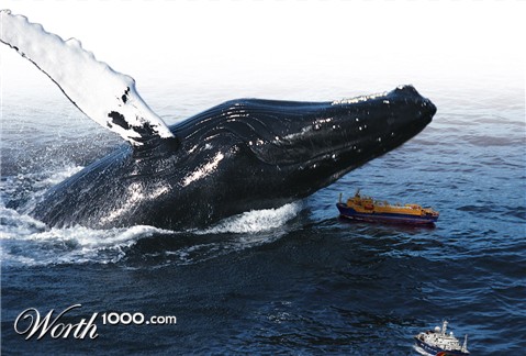 Photoshop Design by mrBonne