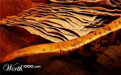 Photography by Berilu