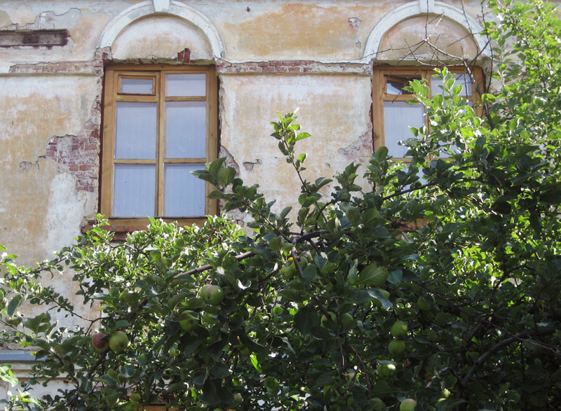 Photographie par mangoslushy pour DesignCrowd (Community Contests) | Design #8957803