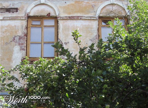 Photography by mangoslushy