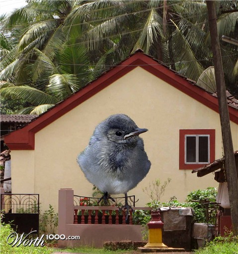 Photoshop Design by amalmansy