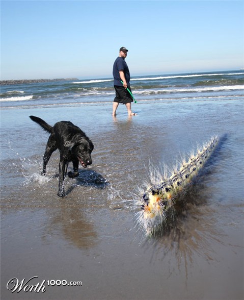 Photoshop Design by Geekatrix