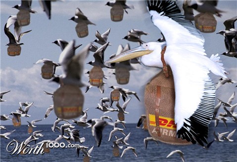 Photoshop Design by Thegardener