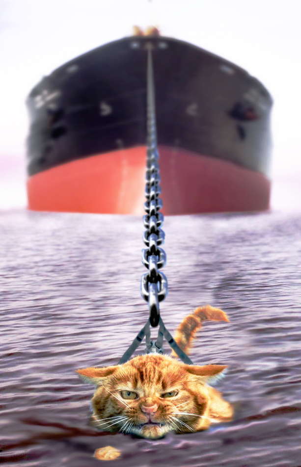 Photoshop-Design von bobber1 für DesignCrowd (Community Contests) | Design #8961634