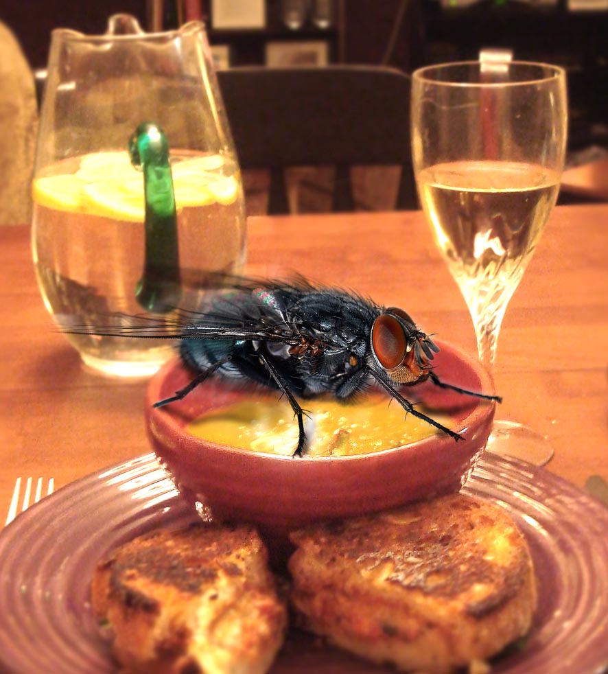 Photoshop Design by Thegardener for DesignCrowd (Community Contests) | Design #8963073